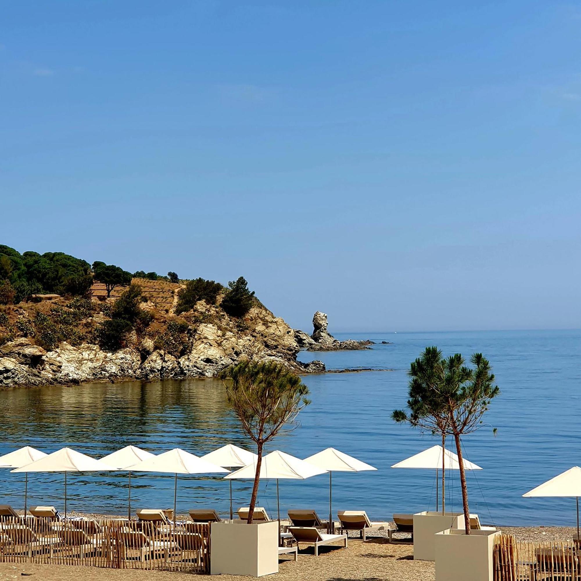 Face A La Mer Residence Les Elmes Banyuls-sur-Mer Εξωτερικό φωτογραφία